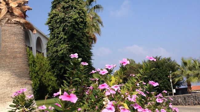 Onar Village Kyrenia  Ausstattung foto